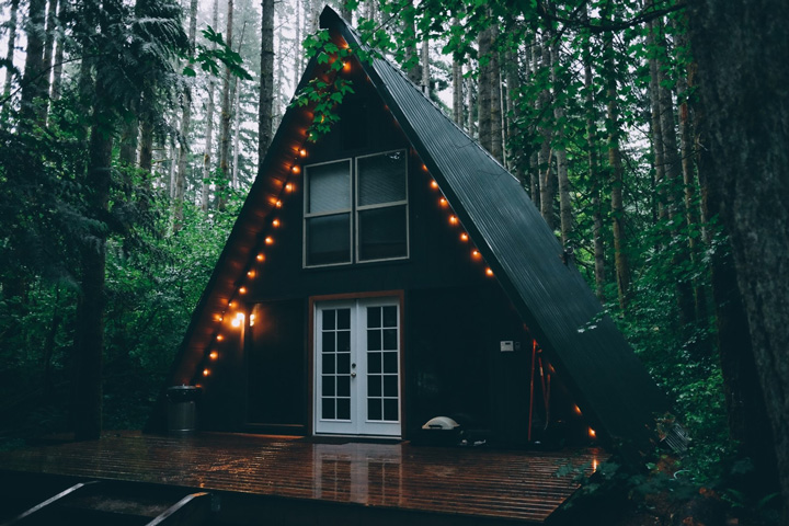 beautiful tiny house surrounded by trees