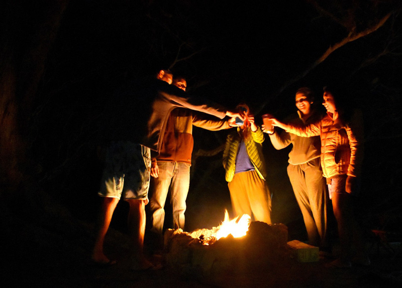 five friends cheers near the bonfire