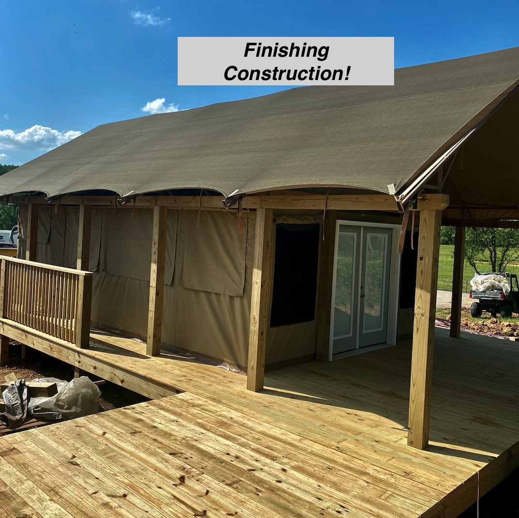 Glamping Tents 1