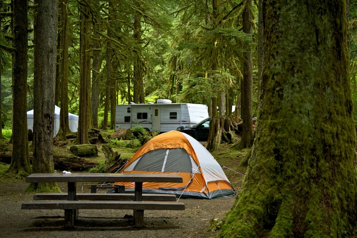 a tent and a picnic table in a forest