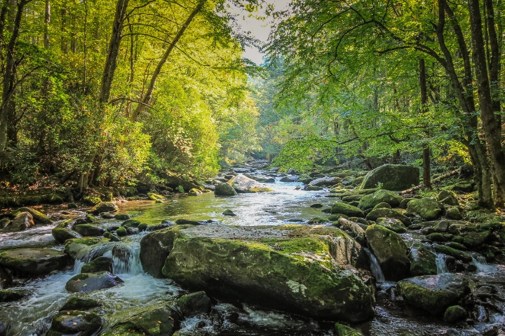 smoky mountain river