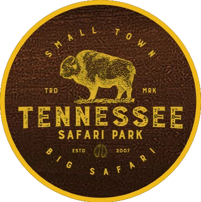 Things To Do 71 Things To Do 71